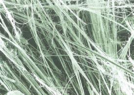 Polveri e fibre di amianto